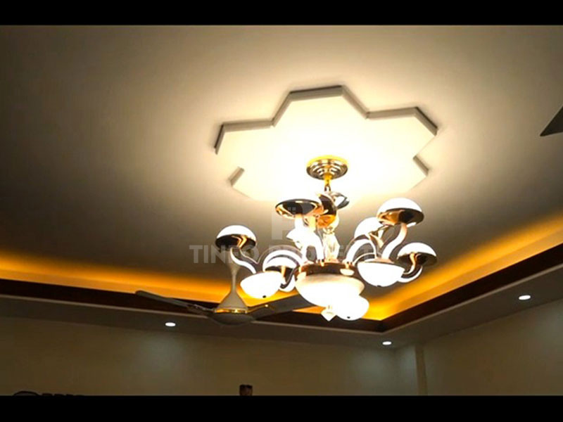 Stunning Furnished Apartment For Rent in Banani-9